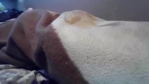 Snapshot of polishbigdick17 chatting on 10-29-25, 06:04 polishbigdick17 online show from 10-29-25, 06:04