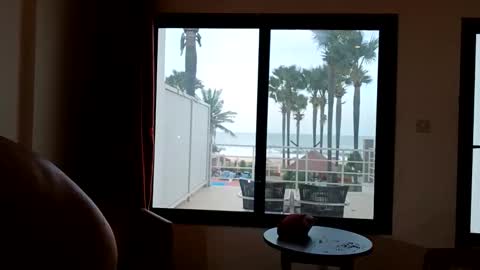 Snapshot of pollexxx66 chatting on 12-16-25, 07:57 Paul online show from 12-16-25, 07:57