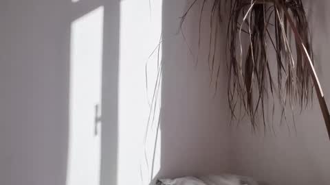 Polina online show from 10-17-25, 06:27