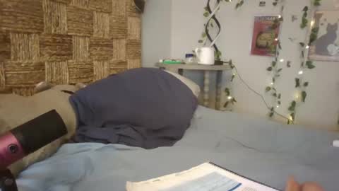 Snapshot of pooncahantits chatting on 02-17-25, 03:31 Emily at Home online show from 02-17-25, 03:31