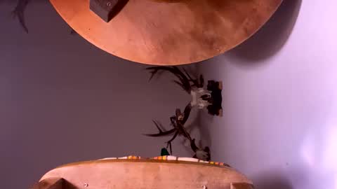 PornStriker online show from 10-19-25, 04:24