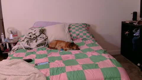 Snapshot of pppawg chatting on 10-19-25, 06:03 PAWG Pale Princess online show from 10-19-25, 06:03