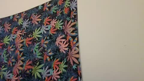 Snapshot of presidentialbryana chatting on 01-19-25, 06:09 Libra Lamont online show from 01-19-25, 06:09