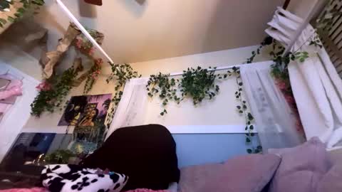 Snapshot of prettyblackgal chatting on 11-27-25, 07:43 prettyblackgal online show from 11-27-25, 07:43