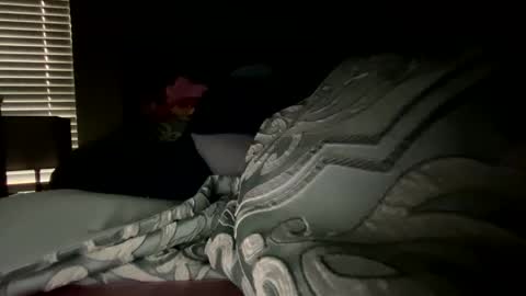 prettyfacefemale online show from 02-18-26, 06:59