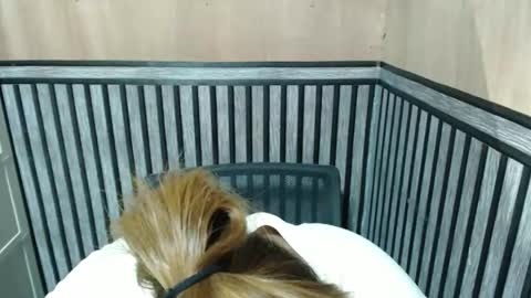 Kate online show from 10-08-25, 07:00