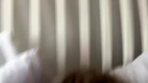 Snapshot of prettypxssyyy chatting on 09-27-25, 08:36 Prettiestpussy online show from 09-27-25, 08:36