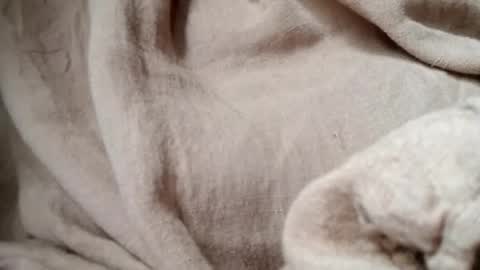Snapshot of prettyrose01 chatting on 07-14-26, 10:48 prettyrose01 online show from 07-14-26, 10:48