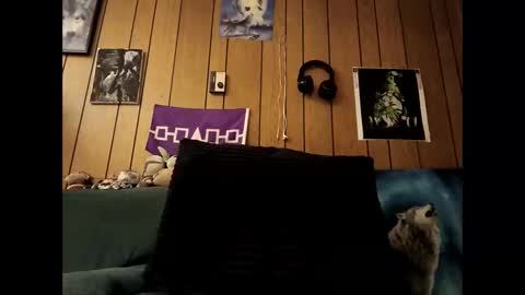 prettysolid7 online show from 10-15-25, 07:19