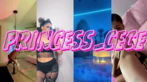 Snapshot of princess_cece chatting on 01-22-25, 12:48 Cece NEXT LIVESTREAM -- DEC. 4th 7 PM CST online show from 01-22-25, 12:48