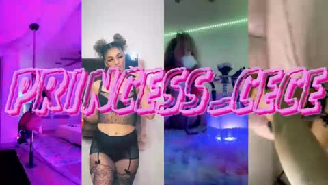 Snapshot of princess_cece chatting on 02-12-25, 12:58 Cece NEXT LIVESTREAM -- DEC. 4th 7 PM CST online show from 02-12-25, 12:58