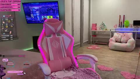 Snapshot of princess_cece chatting on 02-12-25, 04:01 Cece NEXT LIVESTREAM -- DEC. 4th 7 PM CST online show from 02-12-25, 04:01
