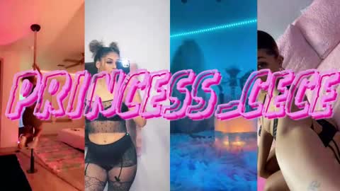 Snapshot of princess_cece chatting on 02-15-25, 03:42 Cece NEXT LIVESTREAM -- DEC. 4th 7 PM CST online show from 02-15-25, 03:42