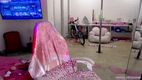 Cece  NEXT LIVESTREAM -- DEC. 4th  7 PM CST online show from 04-01-26, 04:13