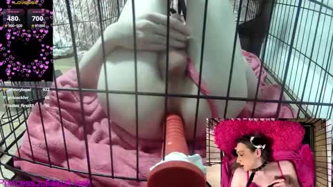 Snapshot of princessjuliaxo4 chatting on 02-20-26, 11:38 PrIncessJulia0X online show from 02-20-26, 11:38