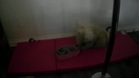 princesskimami online show from 10-25-25, 12:40