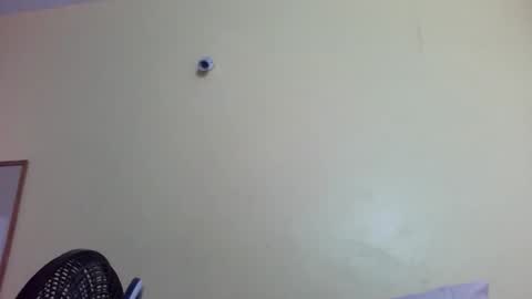 phelly online show from 02-04-26, 11:42