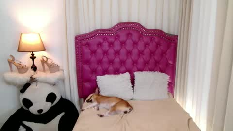 Snapshot of princessyanzy chatting on 09-13-25, 05:57 princessyanzy1 online show from 09-13-25, 05:57