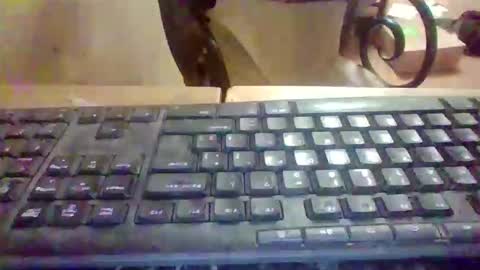 pup_y online show from 01-05-26, 05:27