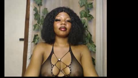 stella online show from 02-10-26, 09:52