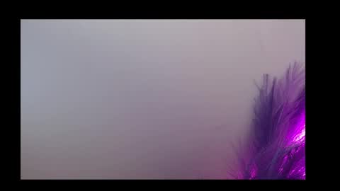 Queen Rosee  online show from 02-05-26, 12:59