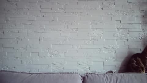 QueenOfModels online show from 11-17-25, 06:08