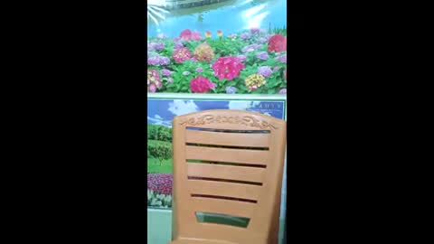 queensuperlady online show from 01-18-26, 09:57