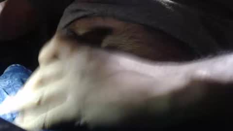 Snapshot of quickienerd chatting on 12-16-24, 11:28 oilypanda online show from 12-16-24, 11:28