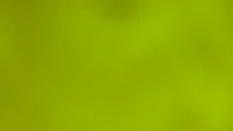 quinnxx online show from 03-09-26, 06:28