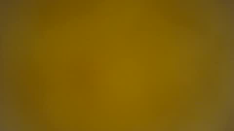 quinnxx online show from 03-24-26, 08:19