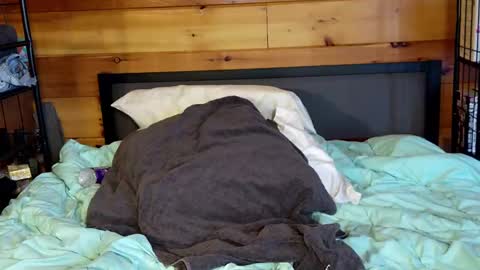 Rachel Price online show from 03-02-25, 02:00