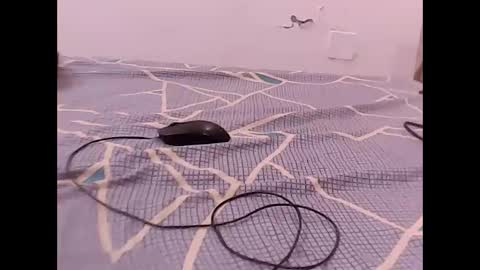 Snapshot of raman5454 chatting on 12-01-25, 04:56 RAMAN online show from 12-01-25, 04:56