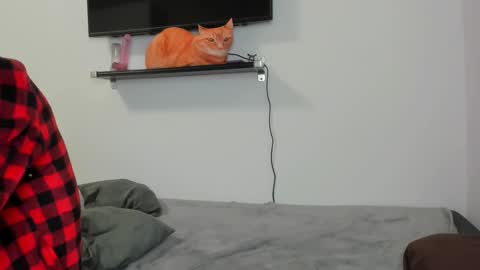 Raveneusbiter online show from 02-10-26, 11:25