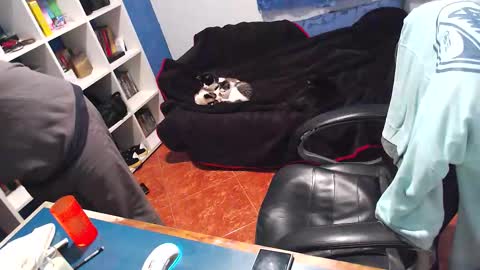 ravingr3d3 online show from 12-21-25, 12:51