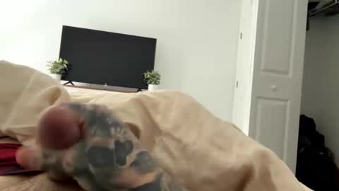 raws33x online show from 02-03-26, 03:50