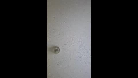 Snapshot of razalgirls chatting on 03-03-26, 09:21 razalgirls online show from 03-03-26, 09:21