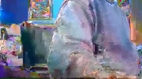 Snapshot of rb69er905364 chatting on 12-28-24, 04:52 rb69er905364 online show from 12-28-24, 04:52