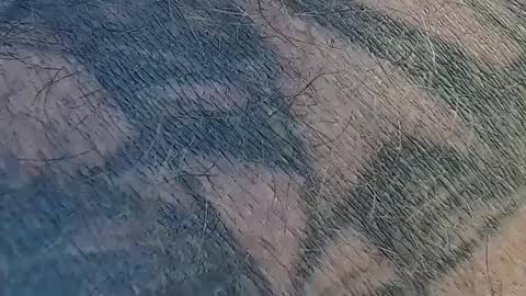 realrubpirate online show from 09-09-25, 09:31