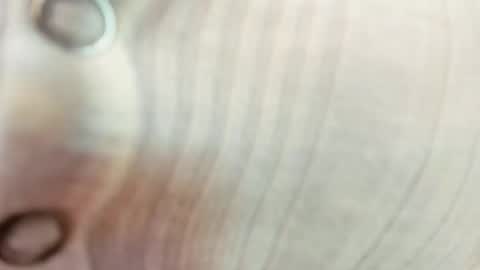 Snapshot of realtoxxxmaria chatting on 09-13-25, 12:54 Maria  Realto online show from 09-13-25, 12:54