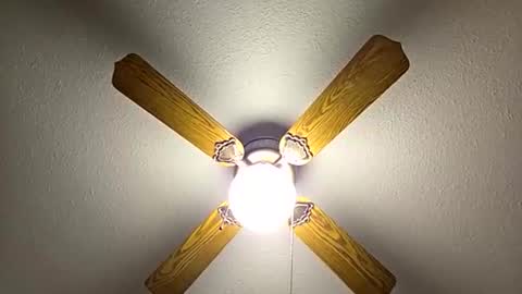 red24devils online show from 11-21-25, 01:04