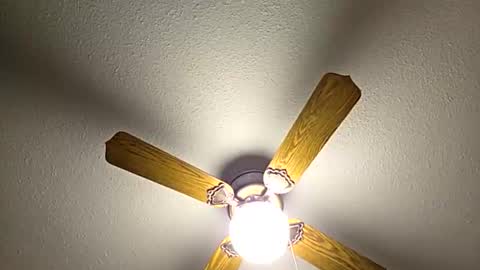 red24devils online show from 02-02-26, 08:07