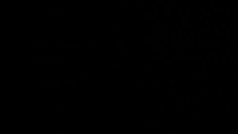 Neta online show from 10-22-25, 12:44