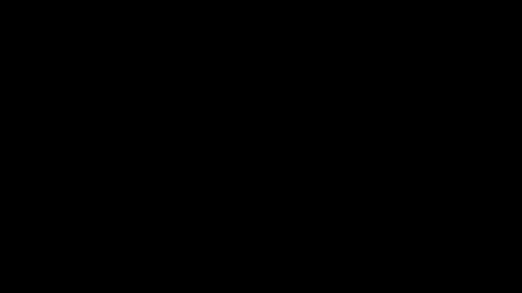 Neta online show from 10-24-25, 12:41