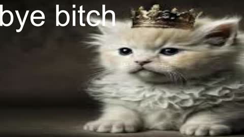 Snapshot of red_queeen chatting on 12-28-24, 05:02 QUEEN OF EVIL online show from 12-28-24, 05:02