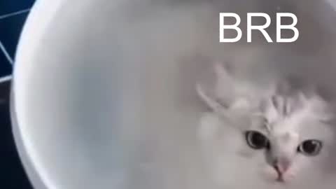 Snapshot of red_queeen chatting on 01-12-25, 10:54 QUEEN OF EVIL online show from 01-12-25, 10:54