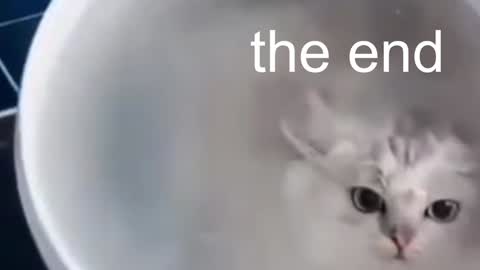 Snapshot of red_queeen chatting on 01-13-25, 01:56 QUEEN OF EVIL online show from 01-13-25, 01:56