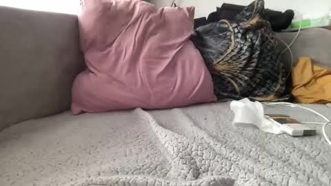 reyna77 online show from 01-22-25, 09:46