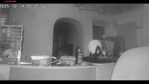 reza240782 online show from 10-14-25, 04:24