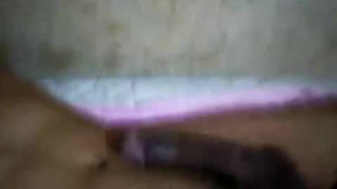 Snapshot of rica1234567890961640 chatting on 10-21-25, 05:19 rica1234567890961640 online show from 10-21-25, 05:19