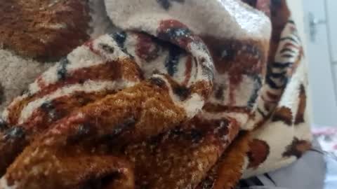 ricard440 online show from 01-12-25, 01:16